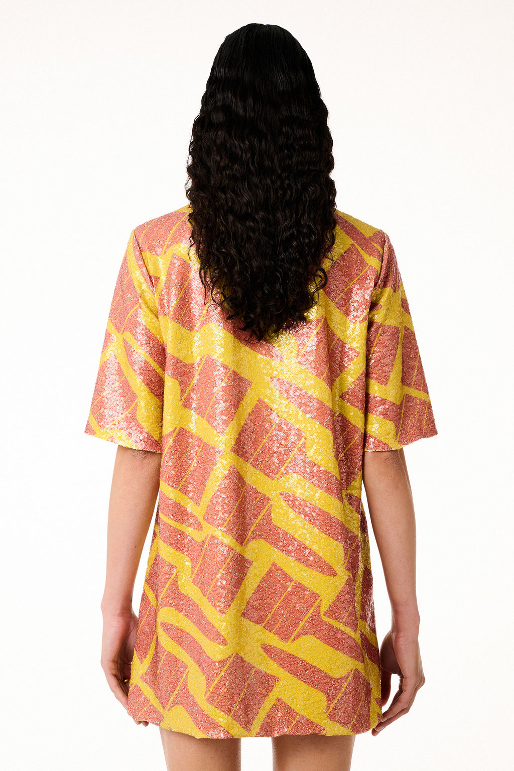 Sequin Dress Brushes Yellow