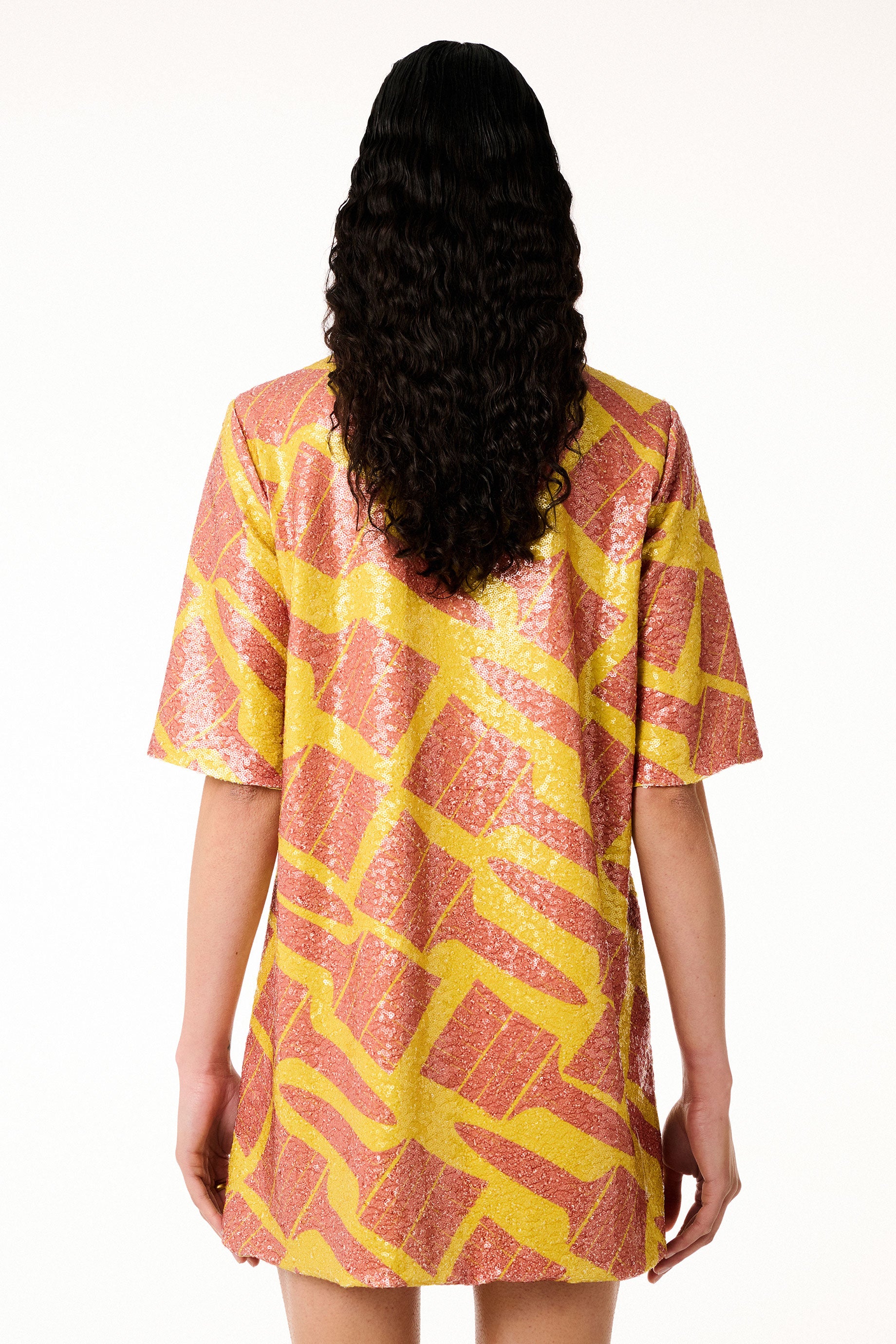 Sequin Dress Brushes Yellow